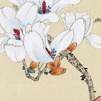 数字磁场解析手机号码 天医磁场发大财的手机尾号