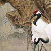 手机号旺财的尾数 全新招财旺运的手机号组