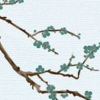 2022年12月属蛇人最佳提车黄道吉日 几号提车最吉利最好