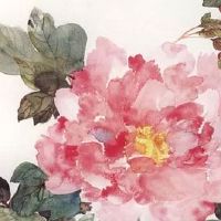 结婚当天去不了红包提前给吗 说明情况发红包祝福