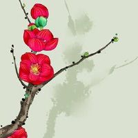 什么手机尾号聚财 超强招财进宝的手机尾号