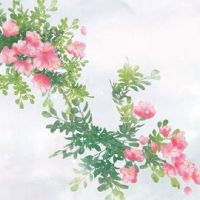 手机尾数0到9气运 意头好能转运的手机号组