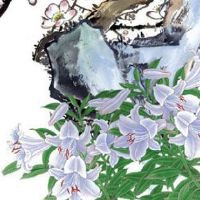 男人左手财运线在哪 做事认真守财有方