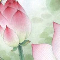 属虎婚配什么生肖最好 属虎的女性最佳婚配