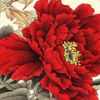 属虎和属鸡的合不合 性格十分合拍