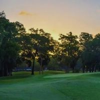 什么种类的树能旺财旺家宅风水