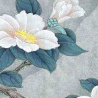 最旺属鼠人的5个数字手机号 热门转运的手机数组推荐