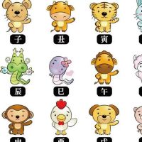 2022年7月7日冲什么生肖,今日属什么生肖