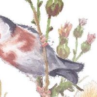 七杀格是特殊命格吗 如何让七杀成格