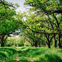 搬家之前要做些什么事情 搬家当天能不能倒垃圾