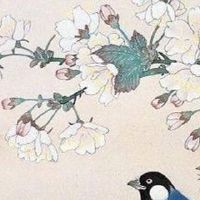 手机号码能量磁场查询 好运旺财的手机数组推荐