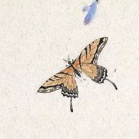 侄女结婚送5000算大礼吗 属于大礼的一种