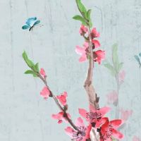 2023年1月9日出生的女宝宝命好吗,本日出生女孩性格如何