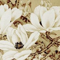 2023年1月7日出生的女孩是什么命,五行属什么