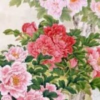 属猪的最佳手机号码 转运绝佳的手机号码全书