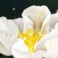 实木家具名称叫什么好 高级霸气旺店取名