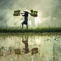 进门口摆放什么风水饰品好