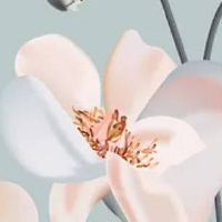 好听的全屋定制公司名字 高级洋气店面名字