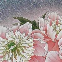 属兔的手机号后四位最佳号码 生肖兔转运大吉的手机号