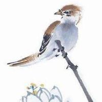 适合73年属牛手机尾号后四位 气旺福先的手机数组全书