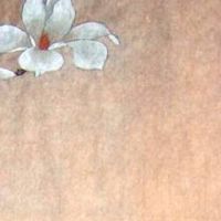 85年属牛手机号吉利后四位 生肖牛命中大吉大利的号码