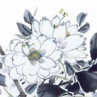 1973属牛一生幸运数字 运旺时盛的旺生肖牛靓号