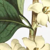 好听的家具品牌名字大全 时尚高级店面名字