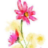 家具店名怎么取好呢 商铺高级洋气取名