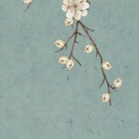 2023年1月16日出生的男孩命运如何,五行属性详细查询