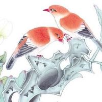 2022年大暑前后出生的宝宝 有贵人扶助 中年和顺