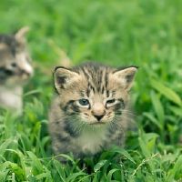 入户的位置正对着门放置一些什么物品改善风水