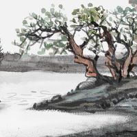 偏印格男命配什么格女命 七杀格和正印格的女人婚姻幸福