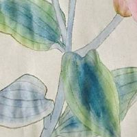 62年属虎最佳手机号码 中年虎吉利热门的手机尾号