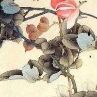 属虎手机用什么号码好 美满旺运的手机靓号数组