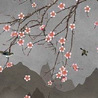 2023年1月24日出生的男孩命运如何,五行属性详细查询