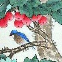 属虎的人手机号码尾数 生肖虎手机尾号吉利推荐