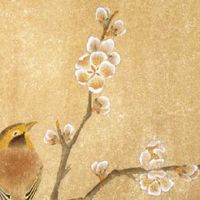 7月半出生的女孩子好吗 好坏一半在人 一半在天命