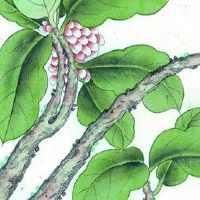 2022年7月半出生的孩子好不好? 天胎之命有菩萨保佑