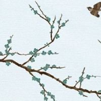 属虎的和什么属相配相克 生肖猴与生肖虎不适合在一起