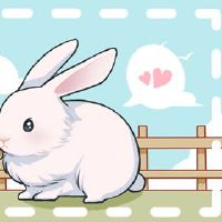 属兔天蝎座2022年的运势 能量气场努力稳定