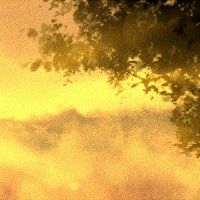 80年男石榴木命人财运 顺风顺水顺心如意