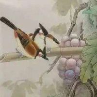 数字能量1413磁场 热门好记的手机尾号全书