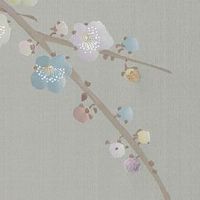 2022年8月出生的虎宝宝五行缺什么 出生八字运势解读