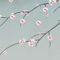 2023年兔年几月份生宝宝命运最好 农历七月出生衣食无忧