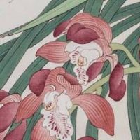 手机号码数字磁场测试 吉祥顺口的天使旺财号码