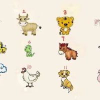 2022年7月24日冲什么生肖,今日属什么生肖