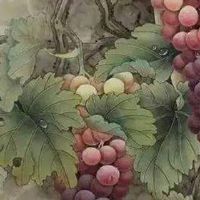 手机尾号713磁场 最强能量转运的手机号码