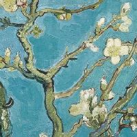 店铺起名字寓意好的字 洋气高端店面名字