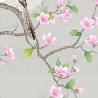 2023年2月19日出生的男宝宝五行属什么,命好不好