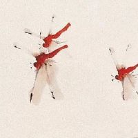 命中有无子女如何查询 五行八字测子女缘